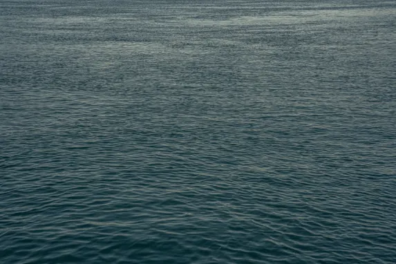 Kasyno Jackpot Molly Wsparcie